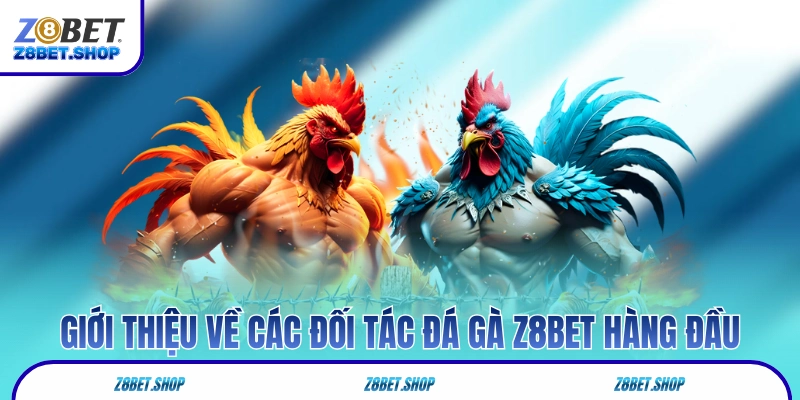 Giới thiệu về các đối tác đá gà Z8Bet hàng đầu